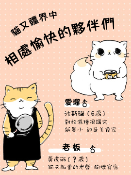 猫又疆界